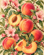 Load image into Gallery viewer, Paint by numbers kit for adults Velvet Peaches Figured'Art UK