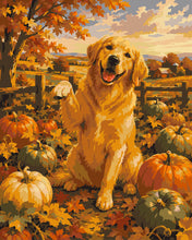 Load image into Gallery viewer, Paint by numbers kit for adults Golden Retriever in a Pumpkin Patch Figured'Art UK
