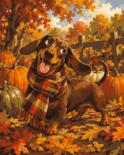 Load image into Gallery viewer, Paint by numbers kit for adults Dachshund in a Tartan Scarf Figured'Art UK