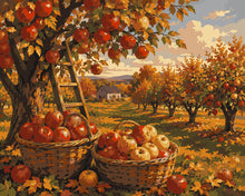 Load image into Gallery viewer, Paint by numbers kit for adults Apple Orchard Harvest Figured'Art UK