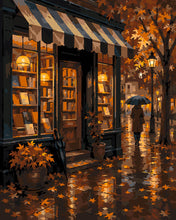 Load image into Gallery viewer, Paint by numbers kit for adults Rainy Autumn Bookshop Figured'Art UK