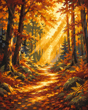 Load image into Gallery viewer, Paint by numbers kit for adults Forest Path with Sunbeams Figured'Art UK