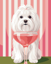 Load image into Gallery viewer, Paint by numbers kit for adults Sweet Maltese Figured'Art UK