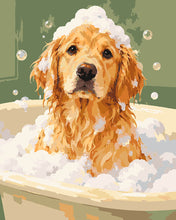 Load image into Gallery viewer, Paint by numbers kit for adults Golden Retriever Bubble Bath Figured'Art UK