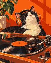 Load image into Gallery viewer, Paint by numbers kit for adults Retro Cat Grooves on Vinyl Figured'Art UK