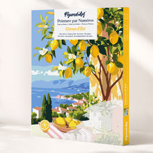 Load image into Gallery viewer, Paint by Numbers Gift Box - Summer Lemon Figured'Art