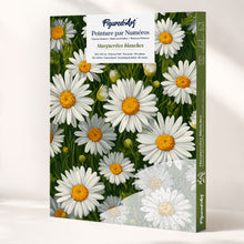 Load image into Gallery viewer, Paint by Numbers Gift Box - White Daisies Figured'Art