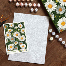 Load image into Gallery viewer, Paint by Numbers Gift Box - White Daisies