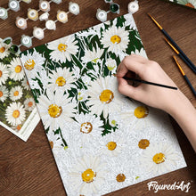 Load image into Gallery viewer, Paint by Numbers Gift Box - White Daisies