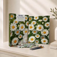 Load image into Gallery viewer, Paint by Numbers Gift Box - White Daisies