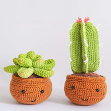 Load image into Gallery viewer, Amigurumi Crochet Kit - Cactus Club