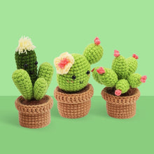 Load image into Gallery viewer, Amigurumi Crochet Kit - Cactus Trio Figured'Art