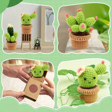 Load image into Gallery viewer, Amigurumi Crochet Kit - Cactus Trio