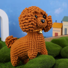 Load image into Gallery viewer, Amigurumi Crochet Kit - Brown Poodle Figured&#39;Art
