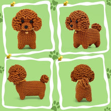 Load image into Gallery viewer, Amigurumi Crochet Kit - Brown Poodle
