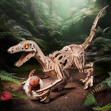 Load image into Gallery viewer, 3D Puzzle - Velociraptor