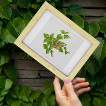 Load image into Gallery viewer, Mini Diamond Painting 15x20cm (4 pieces) - Garden Gems: Mini Succulent