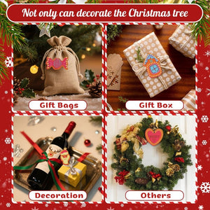 Paint by Numbers Christmas Ornaments - Merry Heart House Reindeer Kit