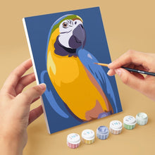 Load image into Gallery viewer, Mini Paint by numbers 15x20cm (6 pieces) - Tropical Feathers