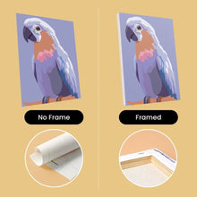 Load image into Gallery viewer, Mini Paint by numbers 15x20cm (6 pieces) - Tropical Feathers
