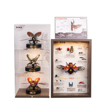 Load image into Gallery viewer, 3D Puzzle - Rhinoceros Beetle