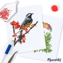 Load image into Gallery viewer, Gem Painting kit - Colourful Birds Paradise series