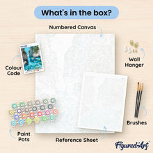 Load image into Gallery viewer, paint by numbers | Scuba Diving | advanced landscapes | FiguredArt