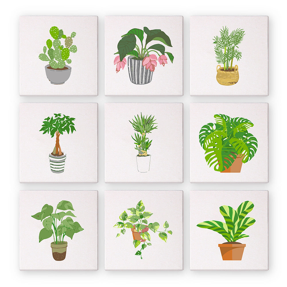 Mini Paint by numbers 15x15cm (9 pieces) - Modern Plant Art