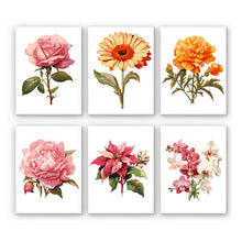 Load image into Gallery viewer, Mini Paint by numbers 15x20cm (6 pieces) - Spring Botanical Garden