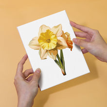 Load image into Gallery viewer, Mini Paint by numbers 15x20cm (6 pieces) - Floral Journey