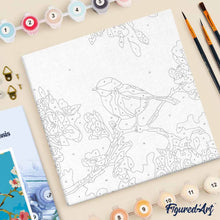 Load image into Gallery viewer, Mini Paint by numbers Birds Painting 20x20cm already framed