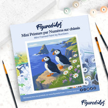 Load image into Gallery viewer, Mini Paint by numbers Puffin by the Ocean Cliffs 20x20cm already framed