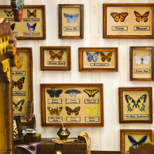 Load image into Gallery viewer, DIY Book Nook Kit - Butterfly House