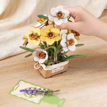 Load image into Gallery viewer, 3D Puzzle - Narcissus
