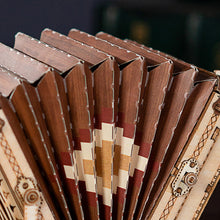 Load image into Gallery viewer, 3D Puzzle - Accordion