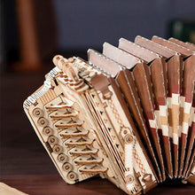 Load image into Gallery viewer, 3D Puzzle - Accordion