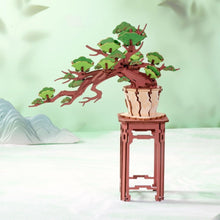 Load image into Gallery viewer, 3D Puzzle - Evergreen Pine Bonsai