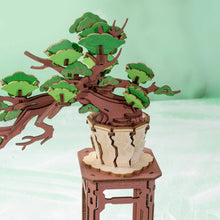 Load image into Gallery viewer, 3D Puzzle - Evergreen Pine Bonsai
