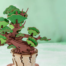 Load image into Gallery viewer, 3D Puzzle - Evergreen Pine Bonsai