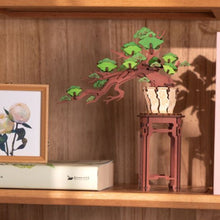 Load image into Gallery viewer, 3D Puzzle - Evergreen Pine Bonsai