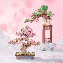 Load image into Gallery viewer, 3D Puzzle - Evergreen Pine Bonsai