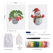 Load image into Gallery viewer, Mini Diamond Painting 15x20cm (2 pieces) - Potted Plant and Winter Snowman