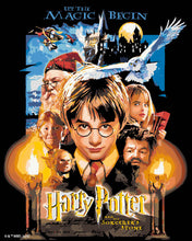 Load image into Gallery viewer, Paint by numbers kit for adults Harry Potter and the Sorcerer's Stone Poster Figured'Art UK