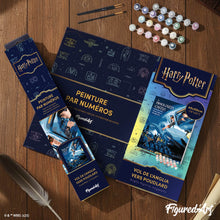 Load image into Gallery viewer, Harry Potter - Anglia flight to Hogwarts
