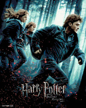Load image into Gallery viewer, Paint by numbers kit for adults Harry Potter and the Deathly Hallows - Part 1 Poster Figured'Art UK