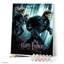 Load image into Gallery viewer, Harry Potter and the Deathly Hallows - Part 1 Poster