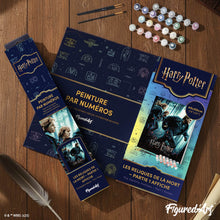 Load image into Gallery viewer, Harry Potter and the Deathly Hallows - Part 1 Poster