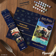 Load image into Gallery viewer, Harry Potter - Hogwarts Express