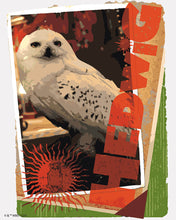 Load image into Gallery viewer, Paint by numbers kit for adults Harry Potter - Hedwig Card Figured'Art UK