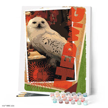 Load image into Gallery viewer, Harry Potter - Hedwig Card